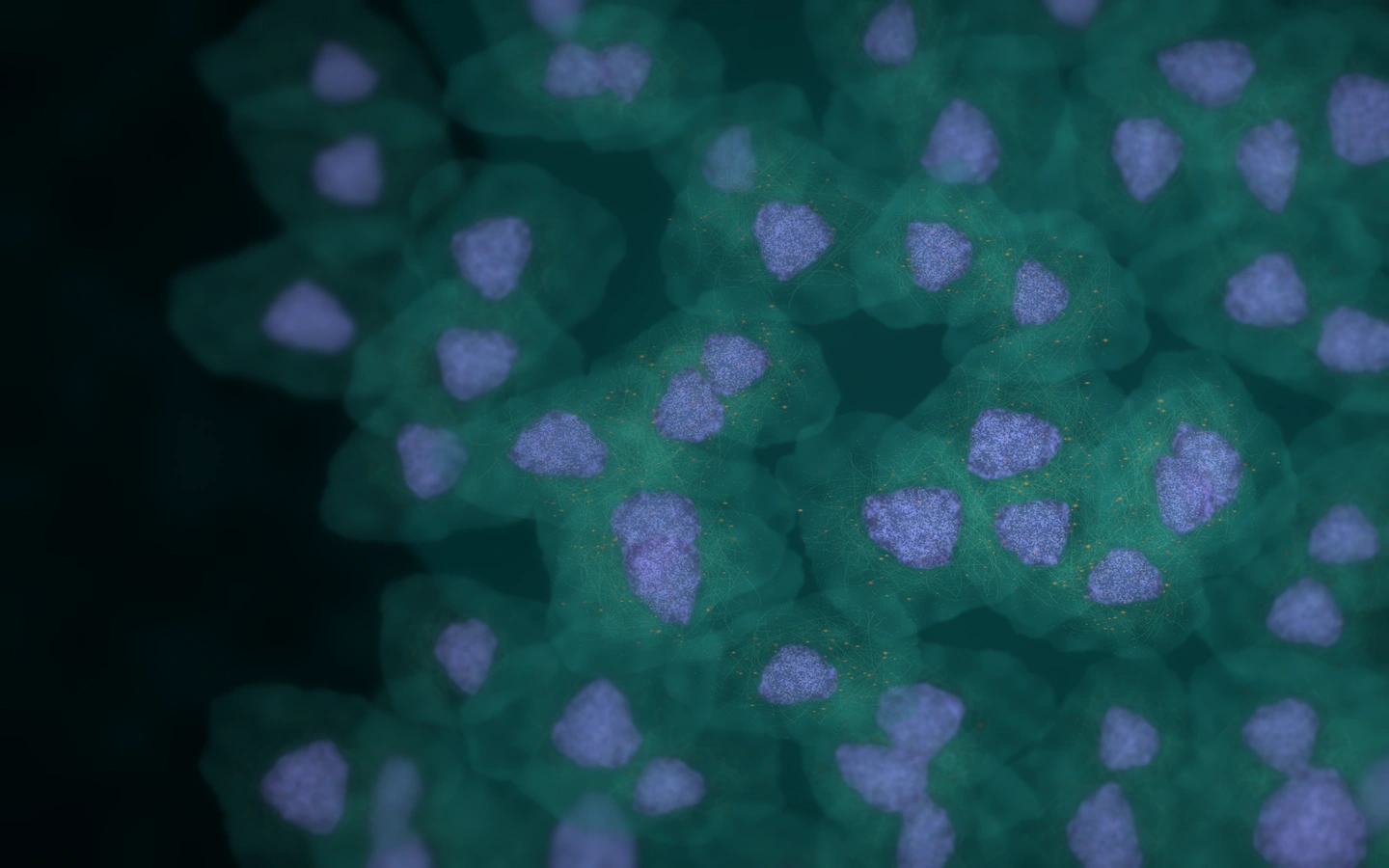 Original microscopy-inspired illustration of softly lit cells.